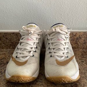 2015 LeBron 12 Low 'USA'